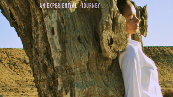 EXPERIMENTAL/DANCE/MUSIC FESTIVAL - Dec. 8th/9th event