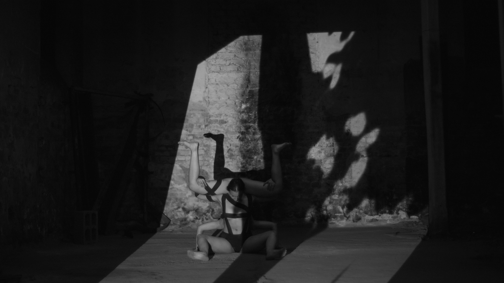 WHERE TEARS, PERHAPS short film, audience reactions