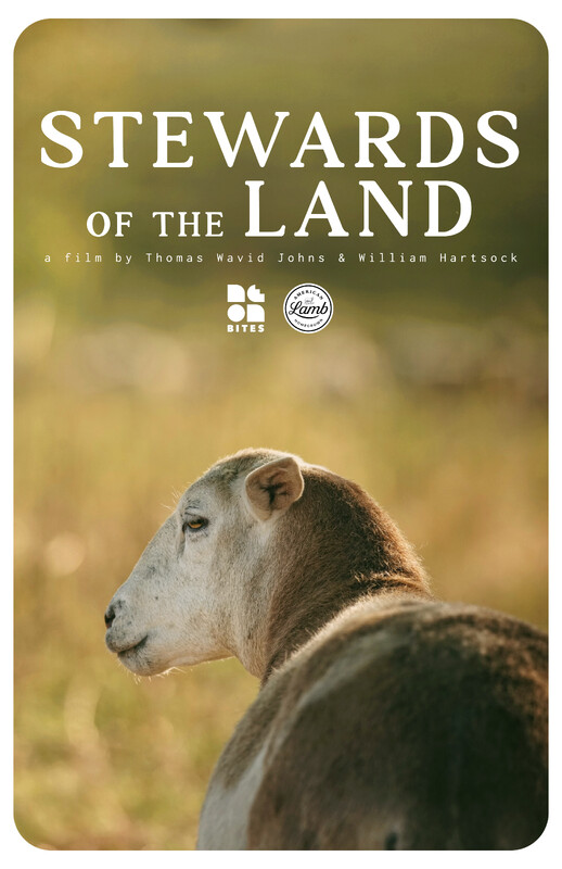 STEWARDS OF THE LAND short film Toronto DOC Festival review