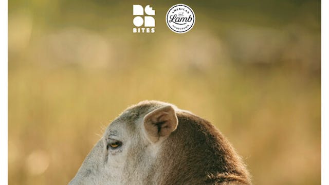 STEWARDS OF THE LAND short film Toron...