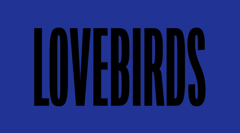 DRAMA Festival Winners