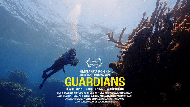 GUARDIANS short film, reactions Toronto Documentary Festival