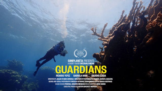 GUARDIANS short film, reactions Toron...