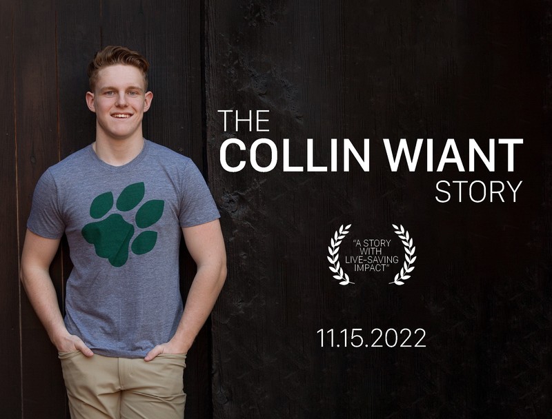 45 MILL STREET feature film, audience reactions