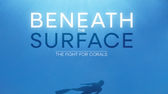 ENVIRONMENTAL Showcase Festival - Nov. 18/19 event