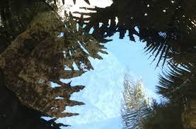 STILL LIGHT short film watch, 3min., Experimental