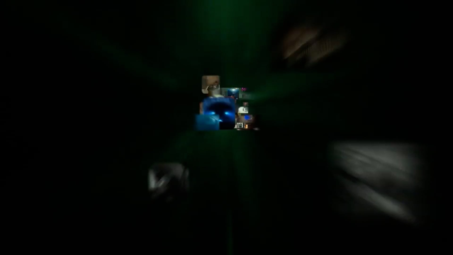 THE WINDMILL AND THE SEA film, reactions Environmental Festival