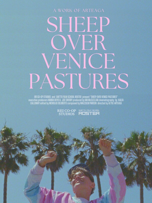 SHEEP OVER VENICE PASTURES short film review