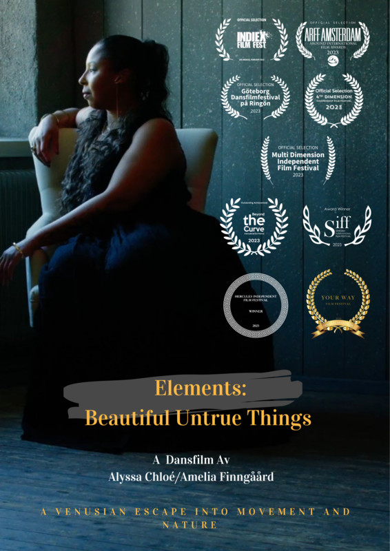 ELEMENTS: BEAUTIFUL UNTRUE THINGS short films, reactions (producer interview)