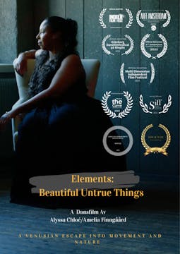 ELEMENTS: BEAUTIFUL UNTRUE THINGS sho...
