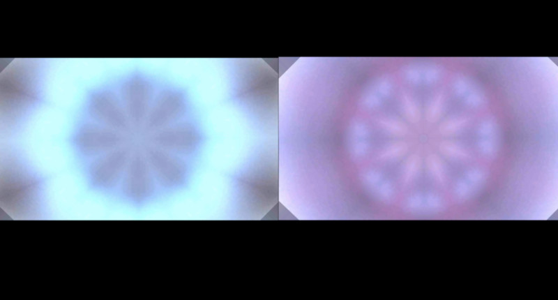 Flo short film, audience reactions