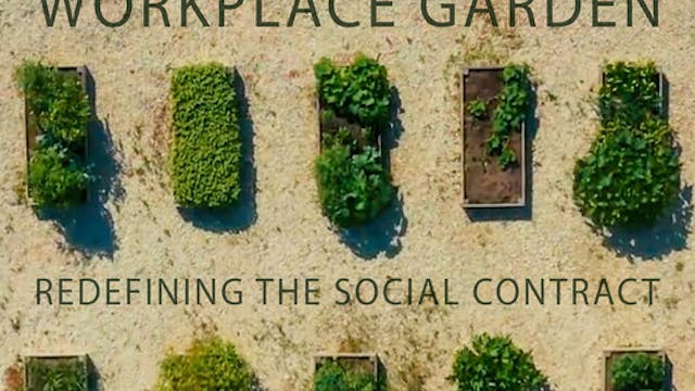 THE WORKPLACE GARDEN REDEFINING THE S...