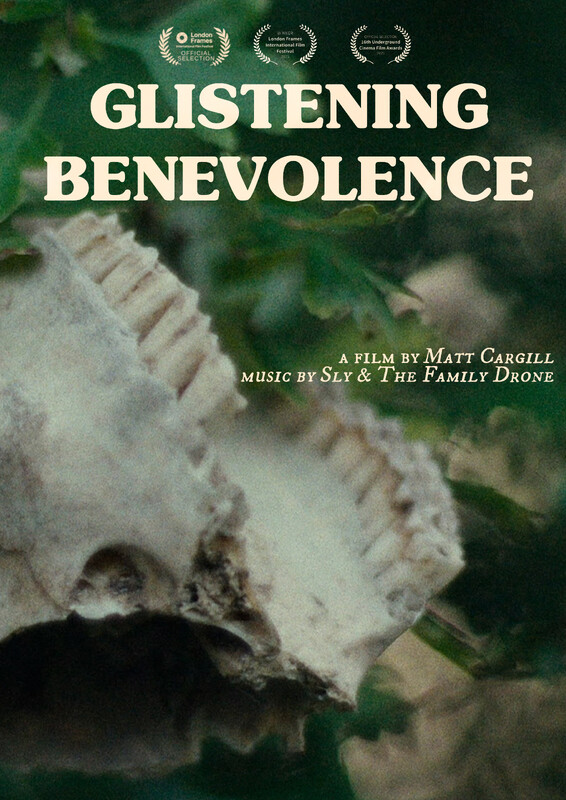 Best of MUSIC Shorts Showcase