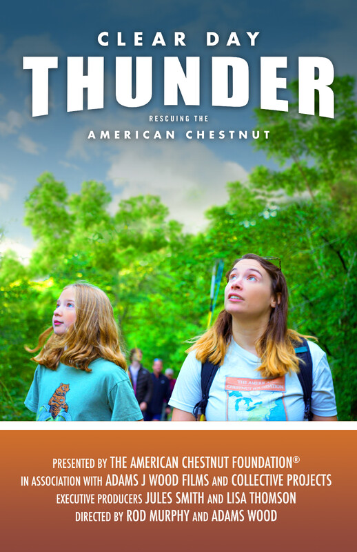 CLEAR DAY THUNDER: RESCUING THE AMERICAN CHESTNUT feature film review