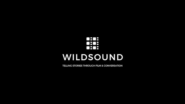 THE ONE HIT WONDER. WILDsound Festiva...