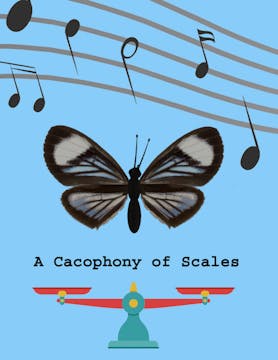 A CACOPHONY OF SCALES short film, rea...