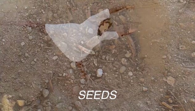 SEEDS film, reactions Dance Festival