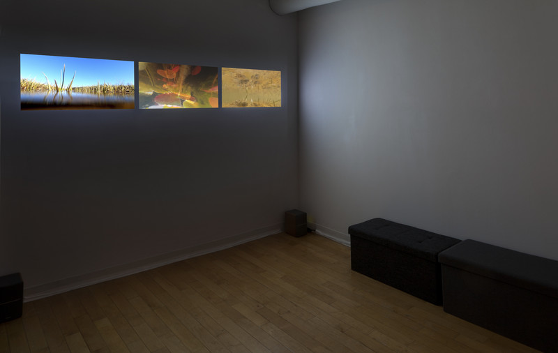 MESSAGES FROM THE MARSH short film, audience reactions (with interview)