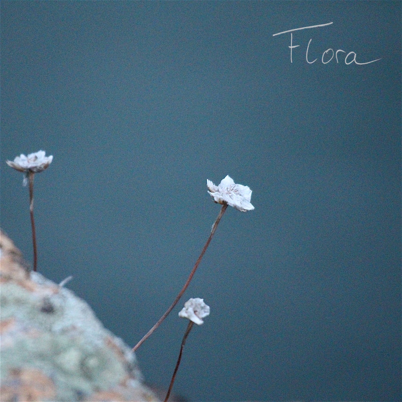 Flora short film, audience reactions (director interview)