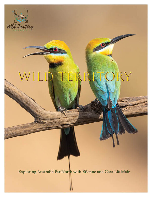 Short Film Trailer: WILD TERRITORY. Directed by Samuel Steiner Riley