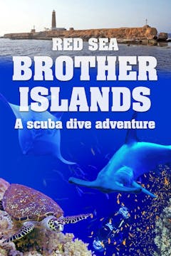 RED SEA Brother Islands a Scuba Dive ...