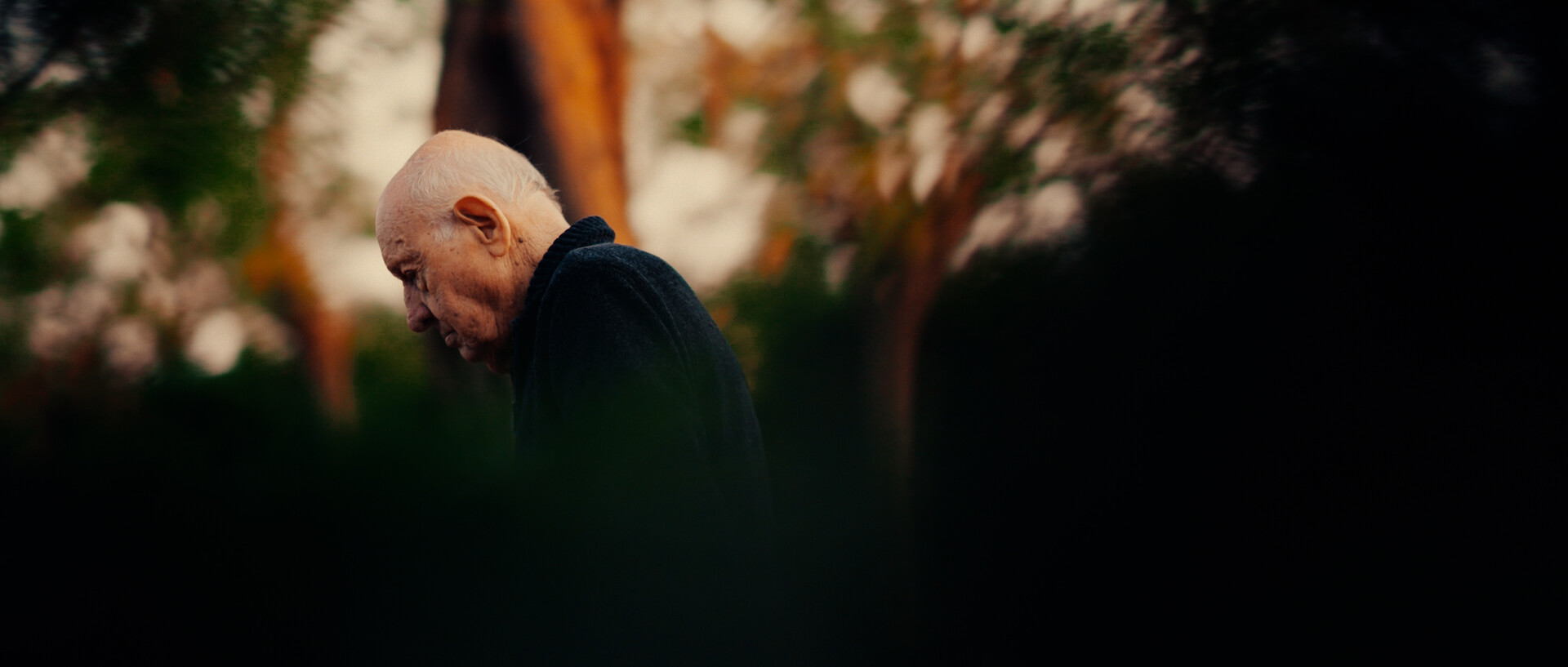  Artist Feature Film Winner: NADO  