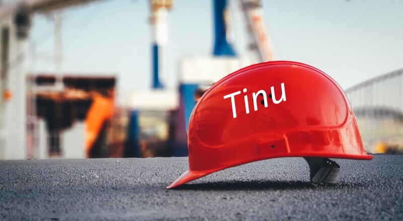 Toronto Female Festival: TINU, by Nirali Shastri (interview)