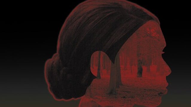 NAVIGATING THE NIGHT short film, reac...