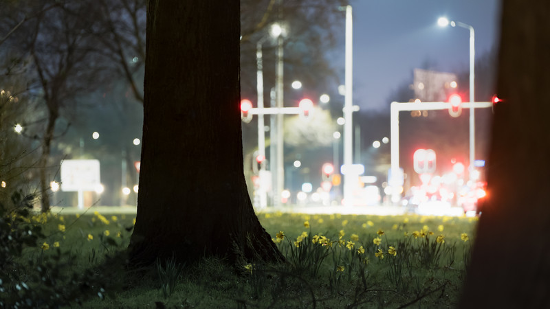 SCIENCE & NATURE Festival - Aug. 12/13 event