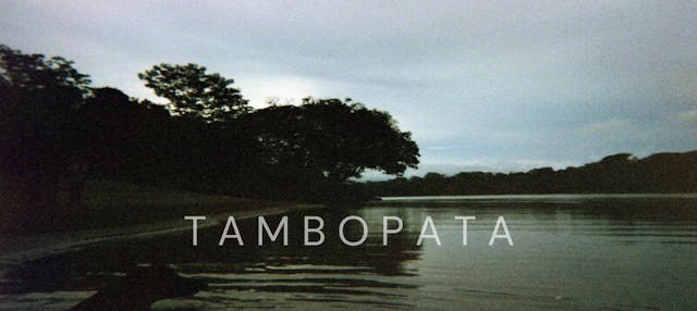 TAMBOPATA short film, reactions ENVIR...