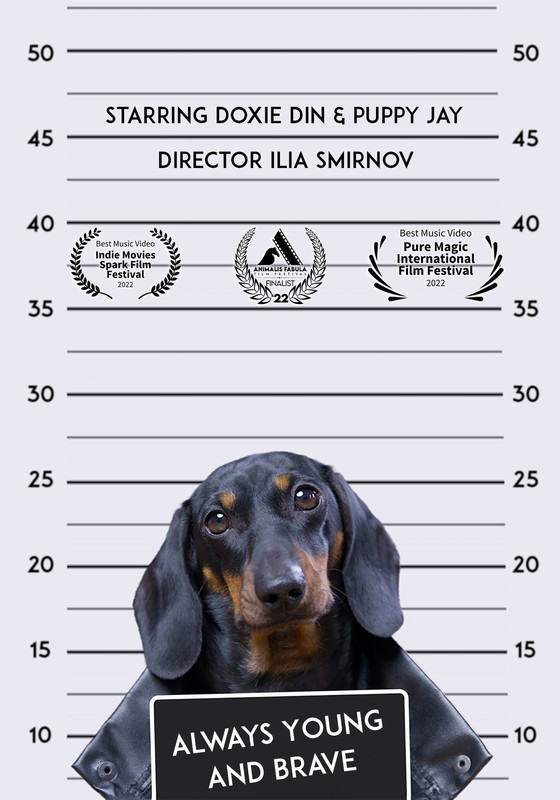 ALWAYS YOUNG AND BRAVE short film, audience reactions