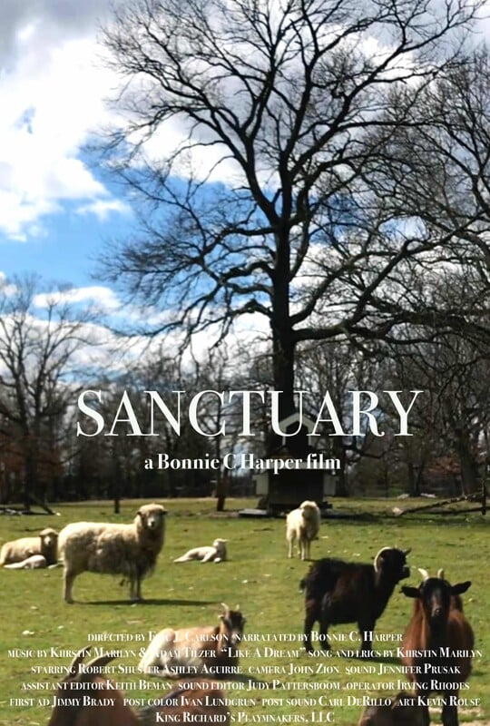 SANCTUARY short film, audience reactions