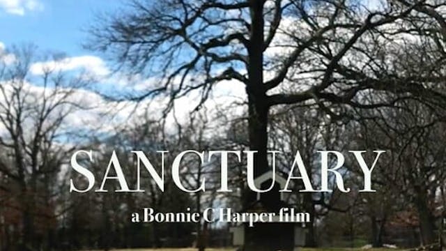SANCTUARY short film, audience reactions