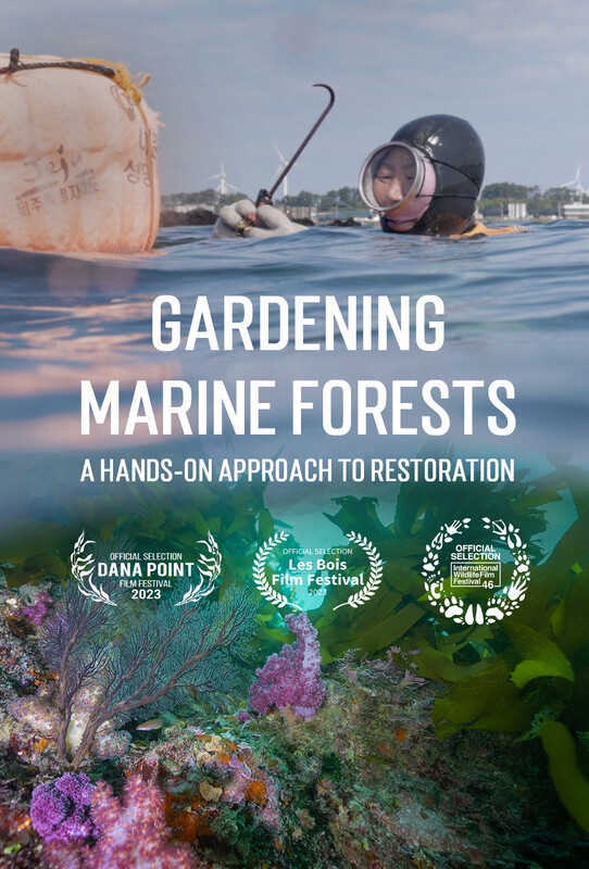 GARDENING MARINE FORESTS short film, audience reactions (interview)