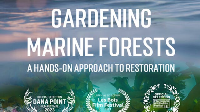 GARDENING MARINE FORESTS short film, ...