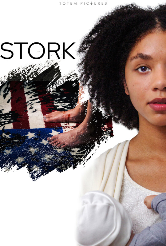 STORK short film, Chicago Feedback Festival review
