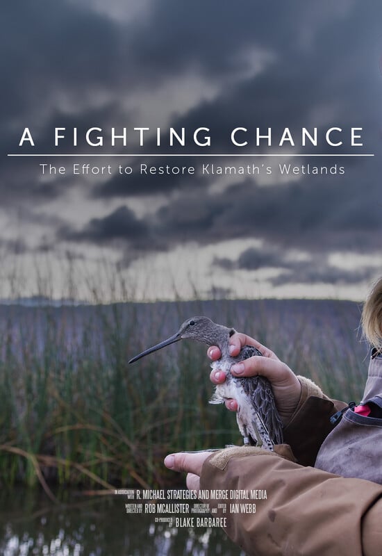 A FIGHTING CHANCE short film, reactions Toronto Documentary Festival
