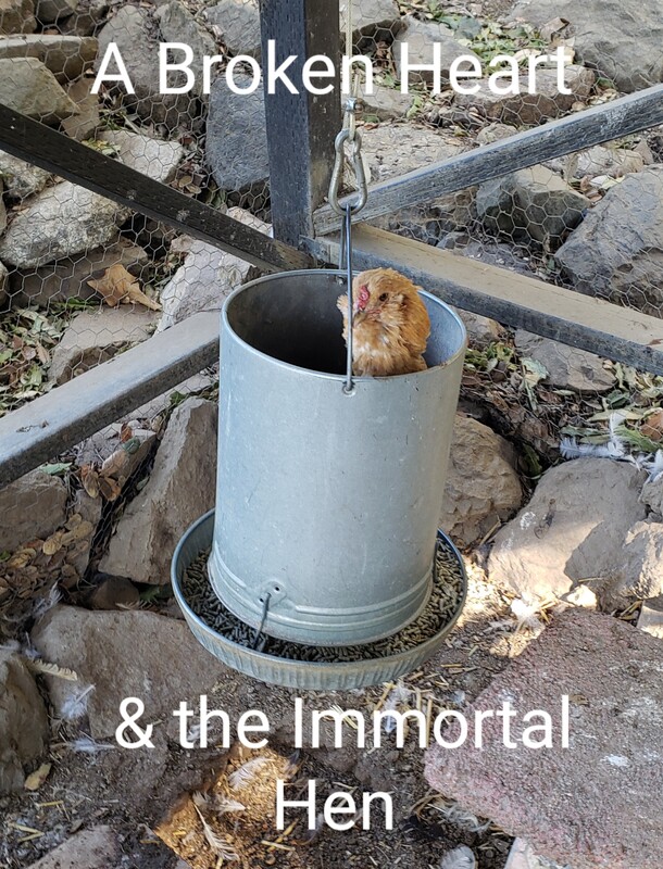 ROMANCE Fest Best Scene: A Broken Heart & The Immortal Hen, by Benjamin Sarno