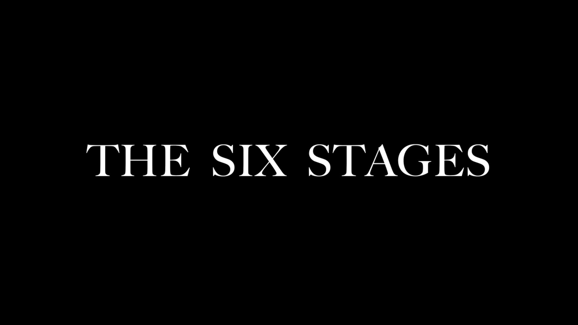 THE SIX STAGES film, reactions WILDsound Festival