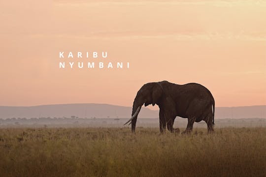 KARIBU NYUMBANI short film review Env...