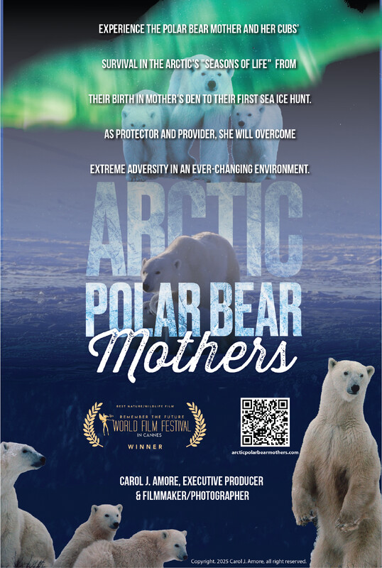 DOCUMENTARY Shorts Festival: March 7/8 event