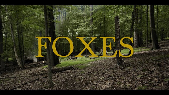 FOXES short film watach, 19min., Horr...
