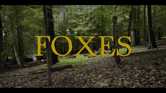 FOXES short film watach, 19min., Horror/Nature