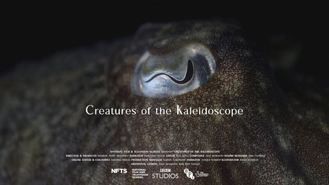 SCIENCE & NATURE Film Festival - Sept...