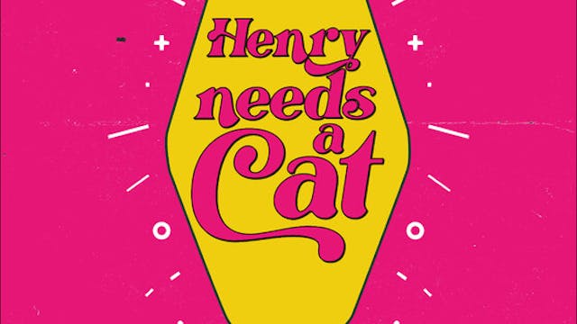 HENRY NEEDS A CAT film, audience feed...