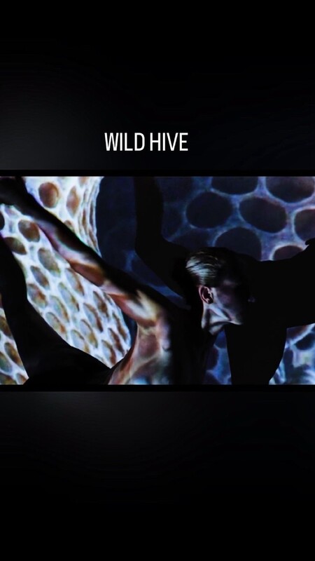 EXPERIMENTAL/MUSIC Film Festival: Feb. 15/16 event