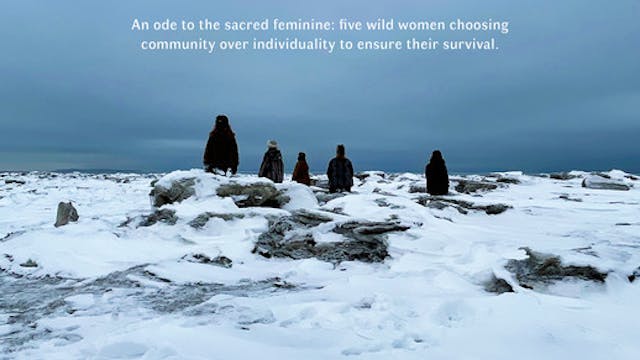 TRAVERSEES short film, audience react...