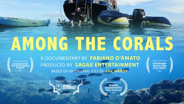 AMONG THE CORALS short film, audience...