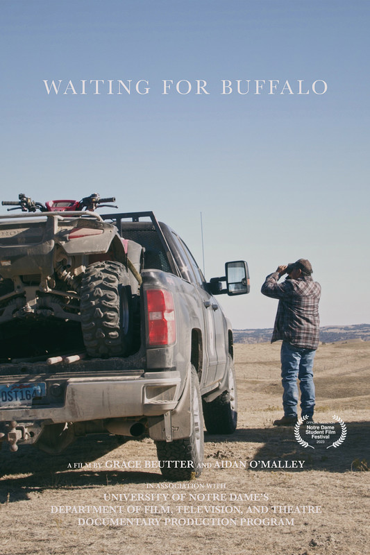 WAITING FOR BUFFALO short film, audience reactions