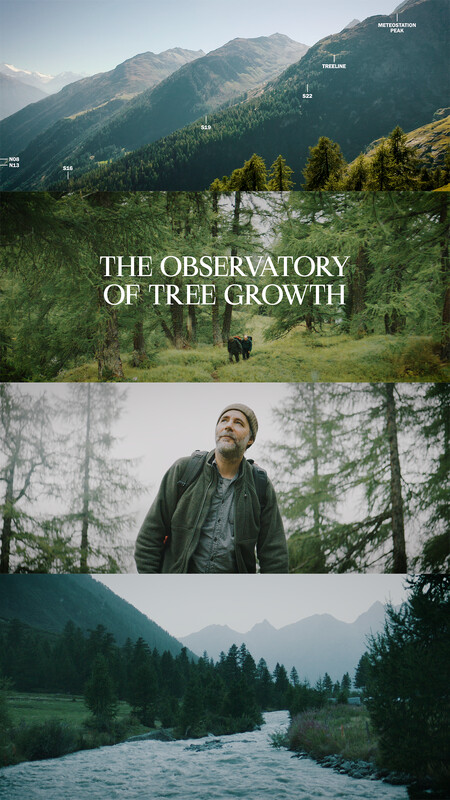 THE OBSERVATORY OF TREE GROWTH film, audience feedback Environmental Festival